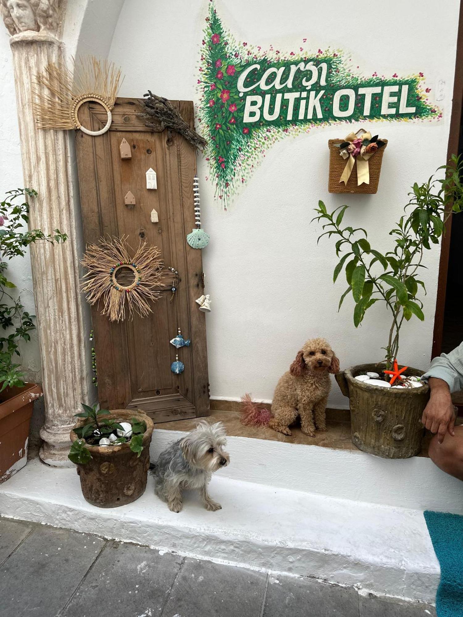 Carsi Butik Otel 博德鲁姆 外观 照片